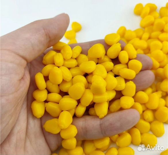 Куруруза для карпа