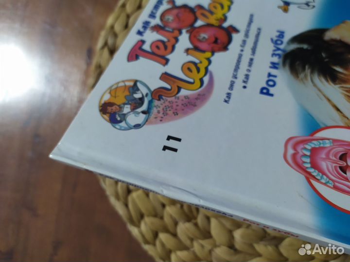 Набор книг Как устроено тело человека
