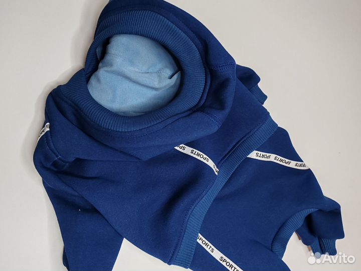 Одежда для собак, костюм спортивный