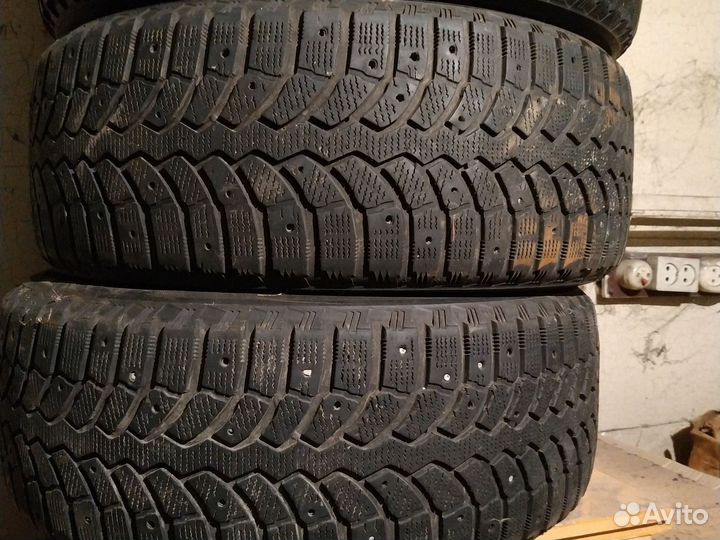 Bridgestone Blizzak DM-V1 205/55 R16