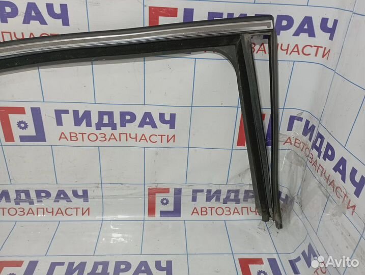 Наклдака двери задней правой Volkswagen Passat (B6) 3C5839432G5AP