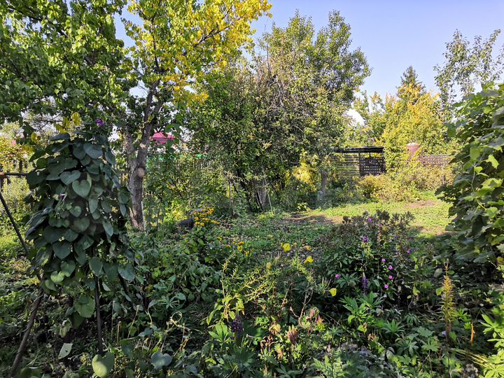 Дача 20 м² на участке 6 сот.