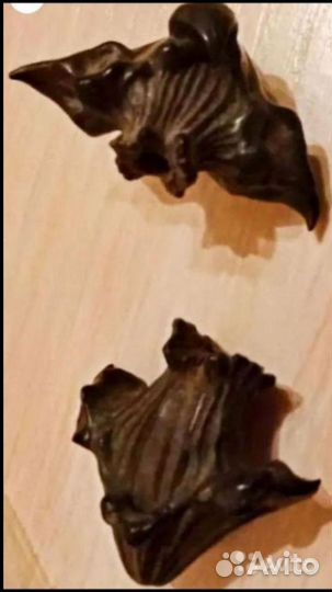 Чилим, чертик, водный орех