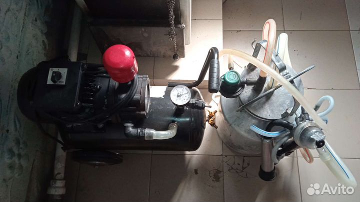 Доильный аппарат для коров бу