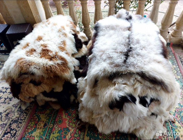 Шкурки овечьи оптом