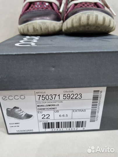 Ботинки ecco 22 размер