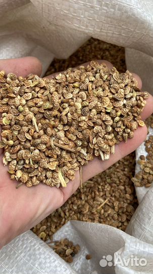 Семена Эспарцета ГОСТ