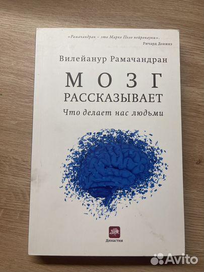 Мозг рассказывает