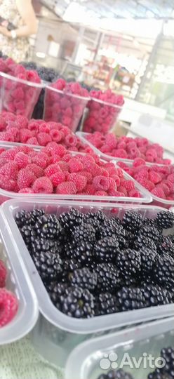 Ягоды малины