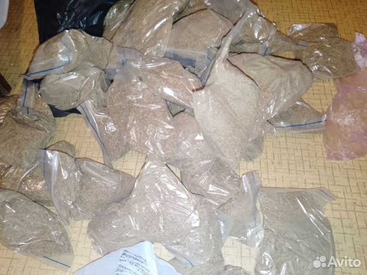 Корм для рыбы дафния