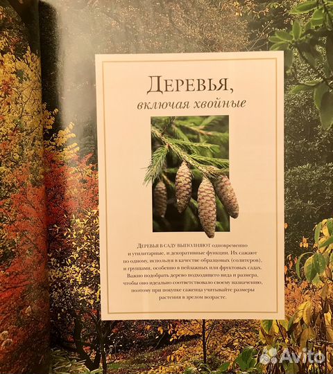 Брикелл Золотая коллекция Садовые растения и цветы