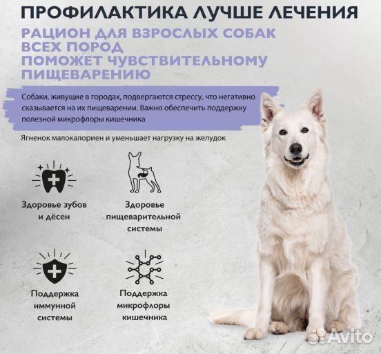 BritCare Superprem 3кг/Adult Sensitive инд/ягнен