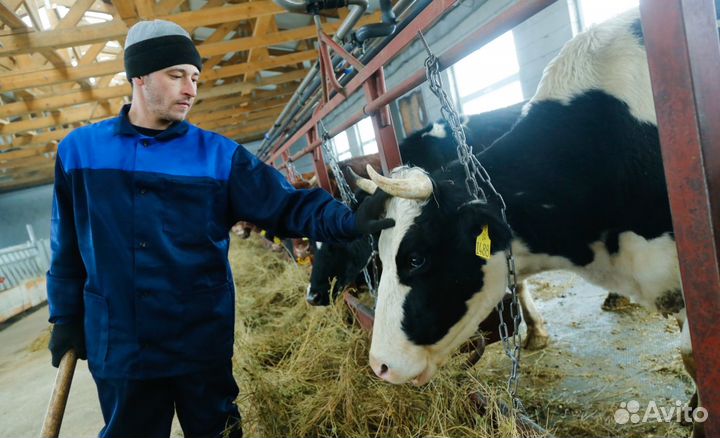 Вахта от 15 смен Разнорабочий без опыта работы