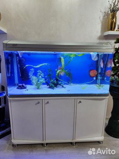 Аквариум с тумбой jebo