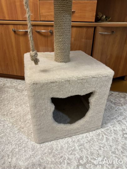 Когтеточка