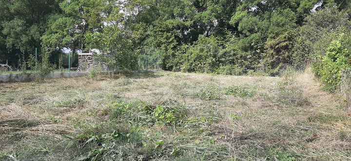 Участок 15,6 сот. (ИЖС)