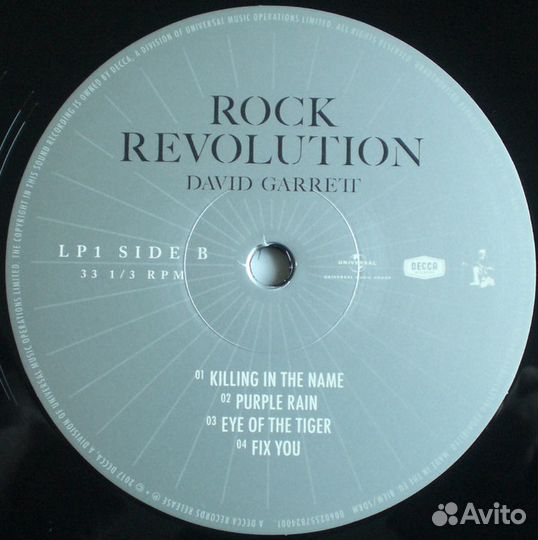 David Garrett / Rock Revolution (2LP)