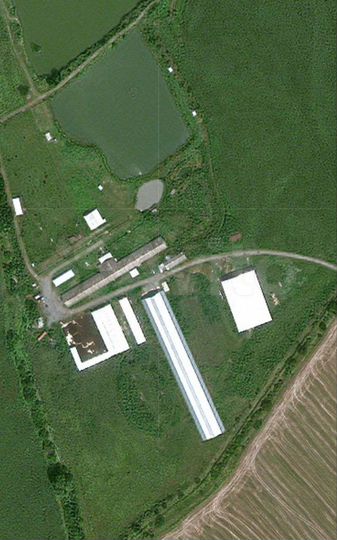 Ферма крс 26000 м²