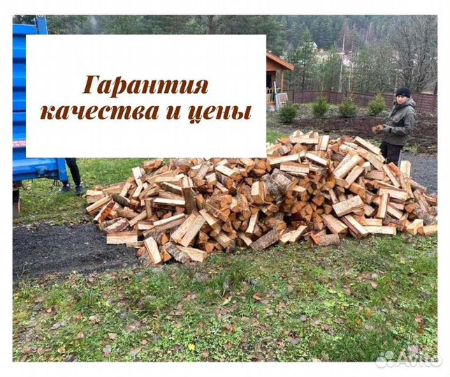 Дрова березовые