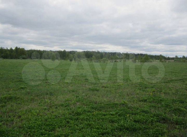 Участок 10 сот. (ИЖС)