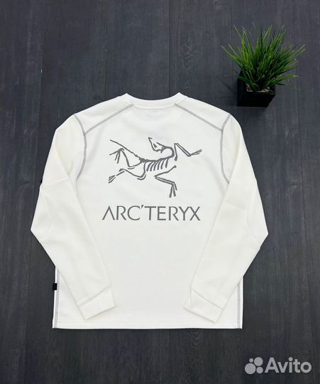 Свитшот весенний Arcteryx