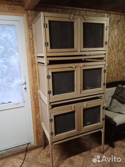 Брудер для цыплят