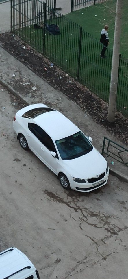 Skoda Octavia: фото владельца