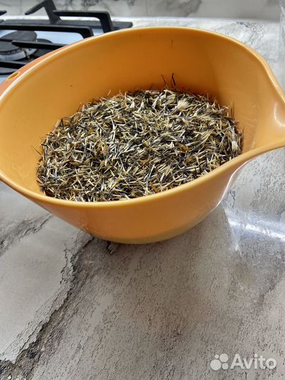 Бархатцы Семена 2023г