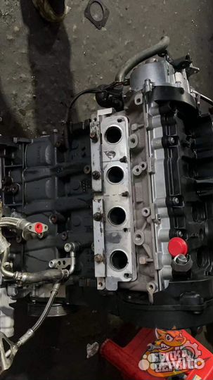 Двигатель BWE 2.0 Audi A4 art.544
