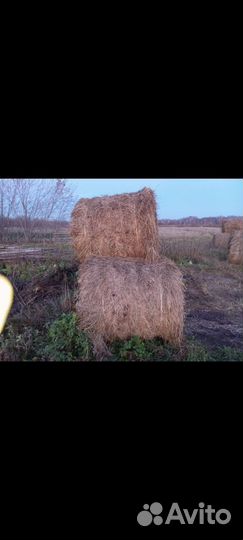 Сено в тюках