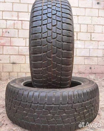 Firestone Winterhawk 2 Evo 205/55 R16 91H