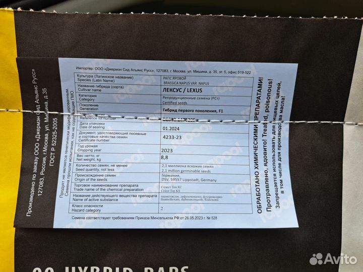 Семена Рапса