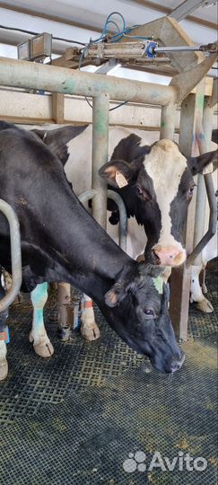 Слесарь сантехник