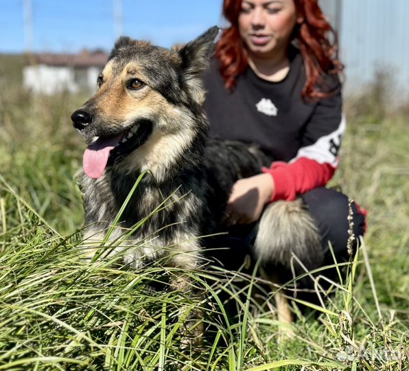 Боня, девочка