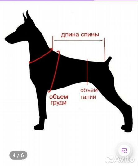 Комбинезон для собаки