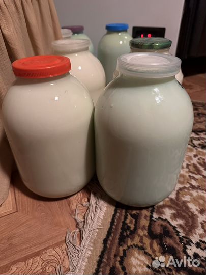 Молоко, масло, творог