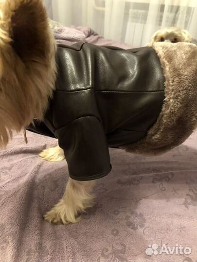 Кожаная курточка для собачки