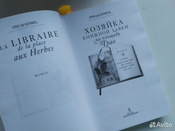 Хозяйка книжной лавки на площади Грав Эрик Кормель