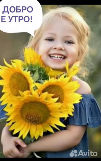 Продукты в коробке