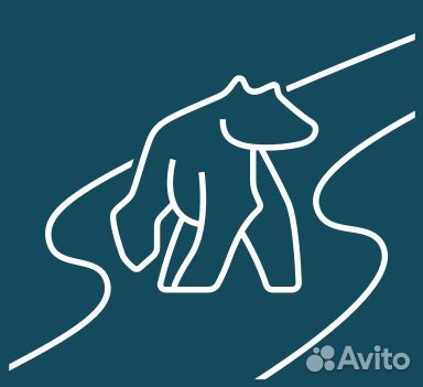 Водитель категории В