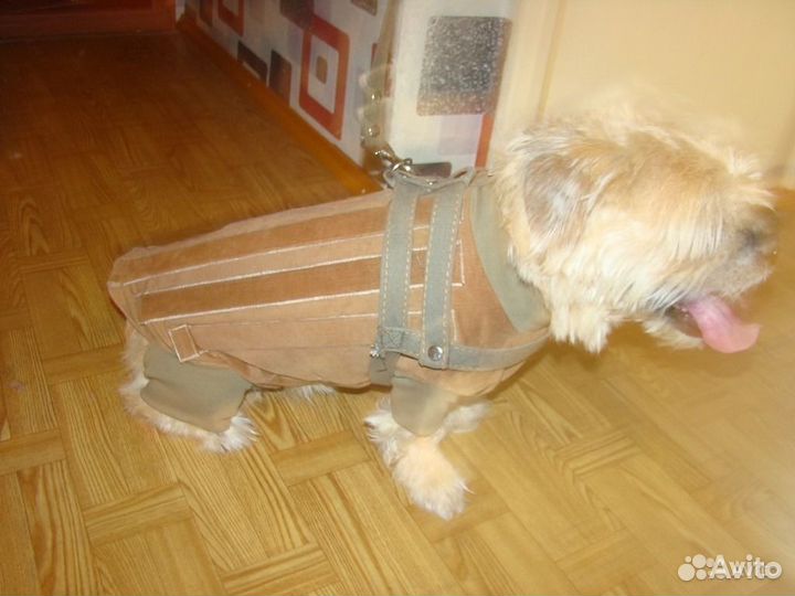 Корсеты для собак и кошек. Шейные корсеты