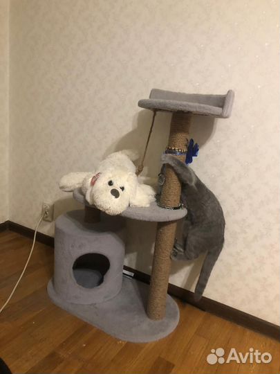 Домик для кошки