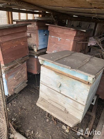 Ульи для пчел бу