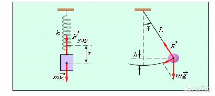 Репетитор онлайн. Математика, физика, химия