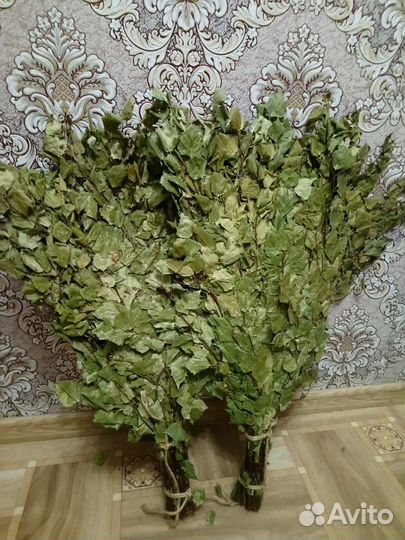 Веники для бани береза