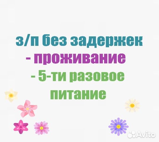 Сиделка в Голицыно Одинцовский район