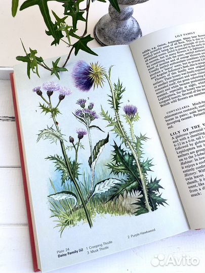 Ботаническая книга с ароматными растениями 1971г