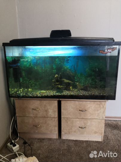 Аквариум