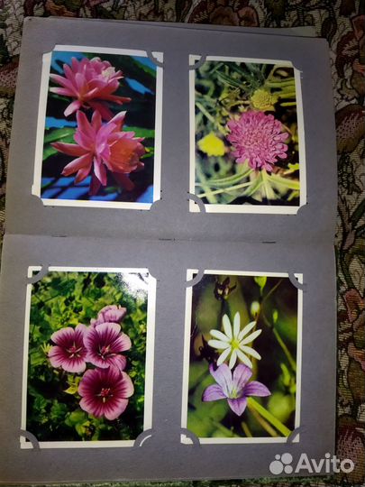 Открытки СССР