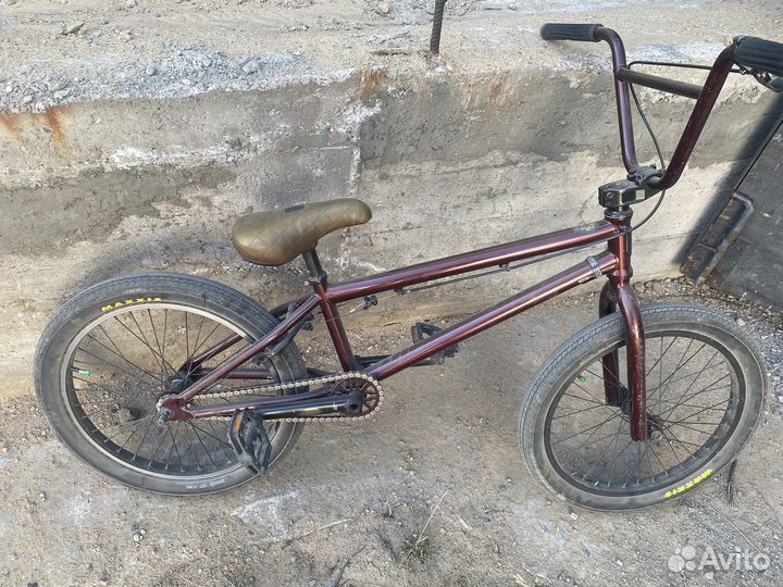Bmx mongoose
